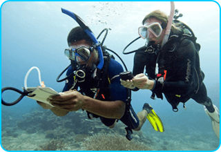 Adventure Diver - 
