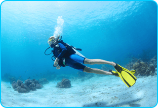 Scuba Diver - (Sub curso OWD)