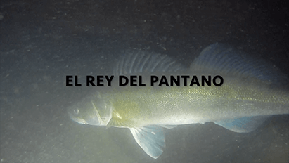   El Rey del Pantano