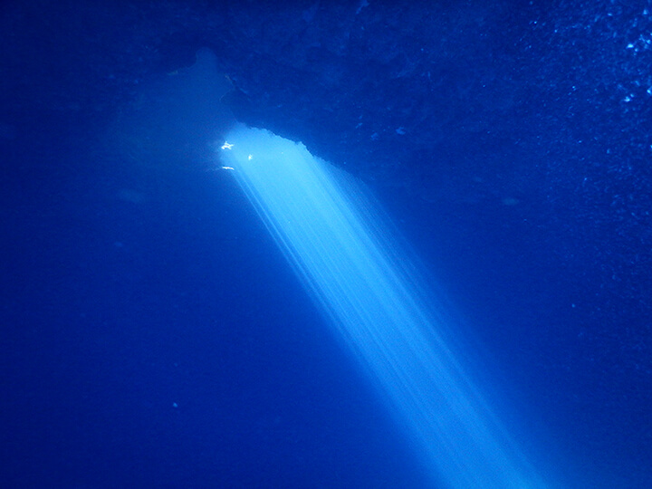 Cenote 4 - vista submarina (contraluces)