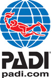 Logo Padi